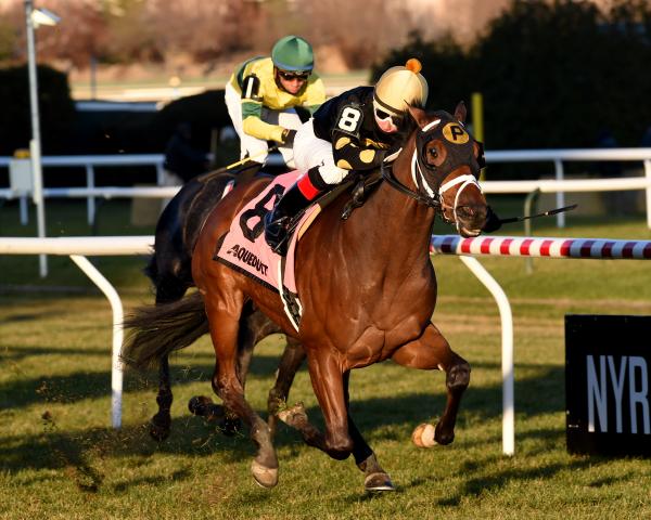 Pegasus world cup results